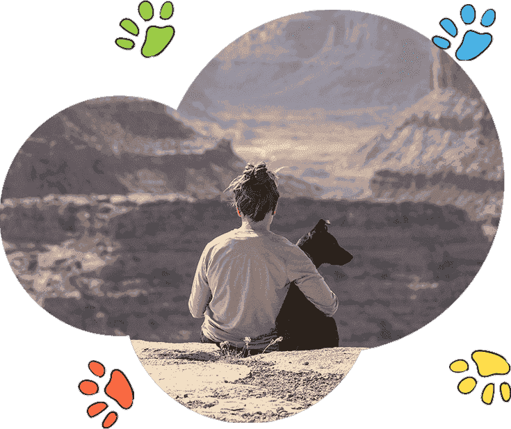 轰炸电话号码网站