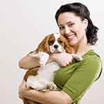 VIP免费特权的在线手机号压力测试